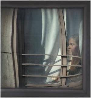 La femme à la fenêtre d'A. J. Finn