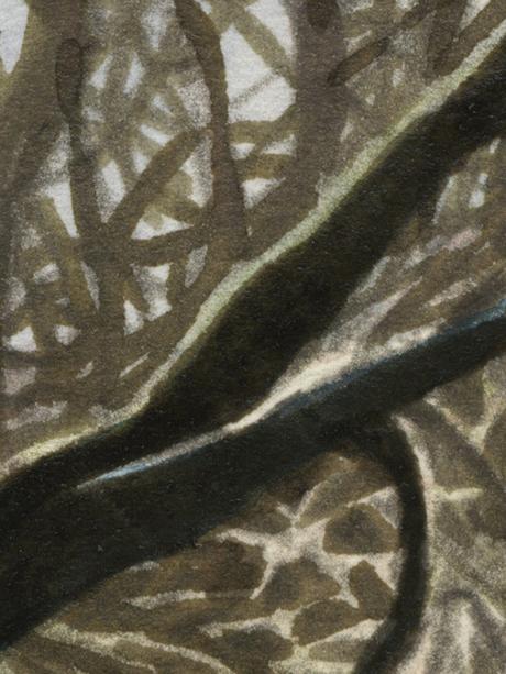 Histoires dans le noir