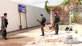 Thaïlande Evasion rocambolesque du tribunal de Nan (vidéo)