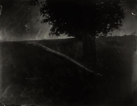sally-mann,photography,battlefields,collodion,pictorialism.003 Sally Mann ou la vie dans les bois