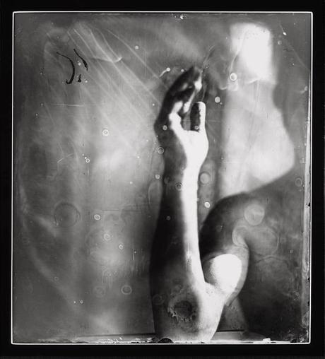 Sally Mann ou la vie dans les bois sally-mann,photography,proud-flesh,collodion,pictorialism