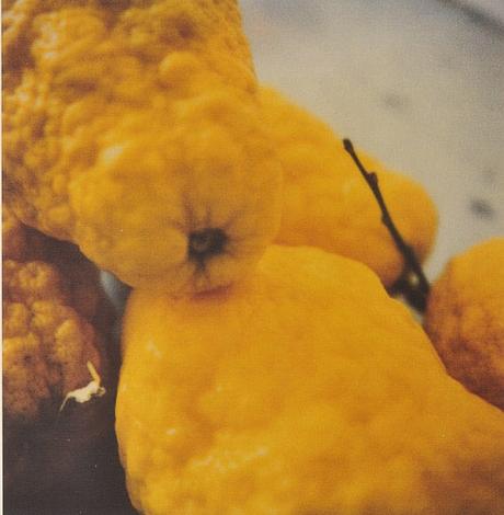 cy-twombly,photography cy-twombly,photography