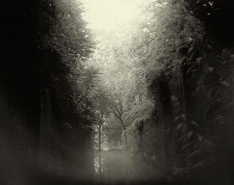 sally-mann,photography,southern-landscape,collodion,pictorialism sally-mann,photography,southern-landscape,collodion,pictorialism