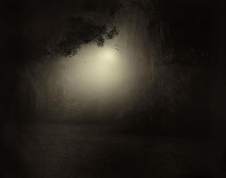 Sally Mann ou la vie dans les bois sally-mann,photography,southern-landscape,collodion,pictorialism
