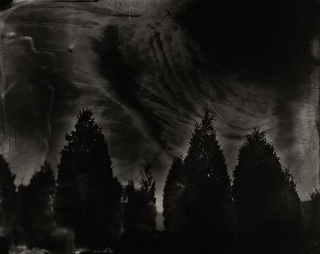 Sally Mann ou la vie dans les bois sally-mann,photography,battlefields,collodion,pictorialism