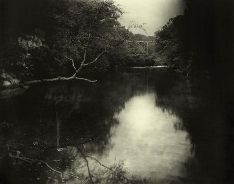 sally-mann,photography,southern-landscape,collodion,pictorialism sally-mann,photography,southern-landscape,collodion,pictorialism