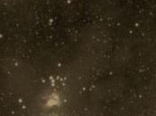 Muriel Pic, Élégies documentaires Gérard Cartier