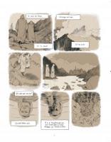 Un bruit étrange et beau de Zep