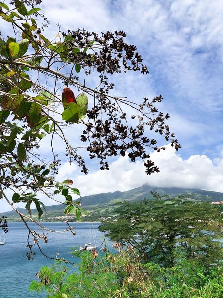 Une croisière aux Caraïbes avec MSC