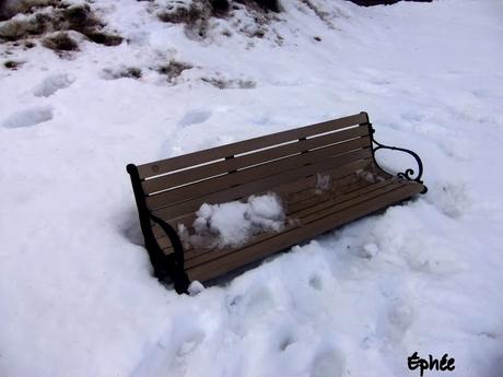 Salade d'orange et de pamplemousse Salade d'orange et de pamplemousse
