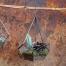   Terrarium diamant à suspendre en zinc et verre Manduri Nkuku  
 Un terrarium signé de la marque éco-friendly et équitable Nkuku. Il est équipé de bordures en zinc posées manuellement sur les parties en verre transparent, d'un grand crochet qui permet de la suspendre et d'une ouverture sur le côté pour y placer les plantes. Très décoratif avec sa forme de diamant, ce terrarium est multi-fonctionnel car vous pourrez l'utiliser aussi comme lanterne à  poser ou accrocher selon votre choix. 
  Prix indicatif :  49,90€ sur le site  www.decoclico.fr  