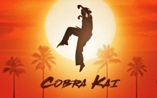 [Trailer] Cobra Kai : l’improbable série Karaté Kid !