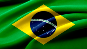 Le rapport de force entre le gouvernement brésilien et la société civile à propos de la forêt amazonienne