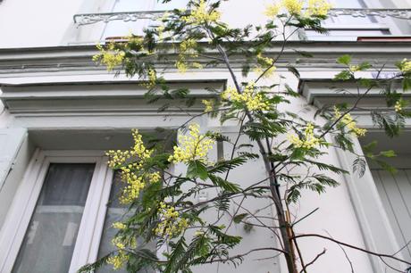 Comme un air de printemps dans la rue Crémieux