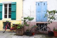 Comme un air de printemps dans la rue Crémieux