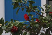 Comme un air de printemps dans la rue Crémieux