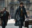 Les Animaux Fantastiques 2 : 3 choses qu’on retient de la bande-annonce !
