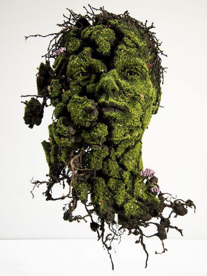 Sculptures végétales par Emeric Chantier