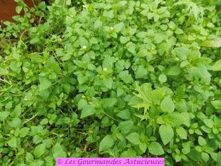 Boulgour santé aux mouron, persil et ail (Vegan)