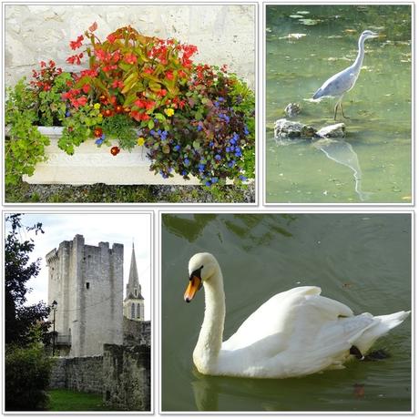 Dordogne - Périgord Pourpre 1 Dordogne - Périgord Pourpre 1