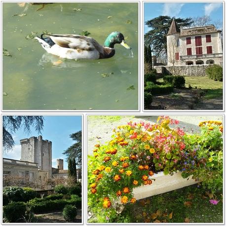 Dordogne - Périgord Pourpre 1 Dordogne - Périgord Pourpre 1