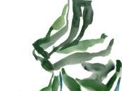 Emmanuel Merle ancien lieu