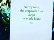 royaume crapauds fous surgit merle blanc Yves Michalon, merveilleux récit notre histoire collective