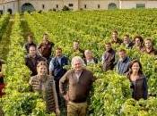 Château Angélus, grand classé Saint-Emilion, passe