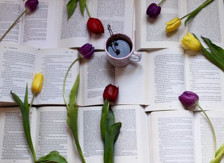 Mes citations de livre préférées #1 Mes citations de livre préférées #1