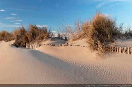 dunes de sables