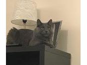 Laisser Vivre Monstres