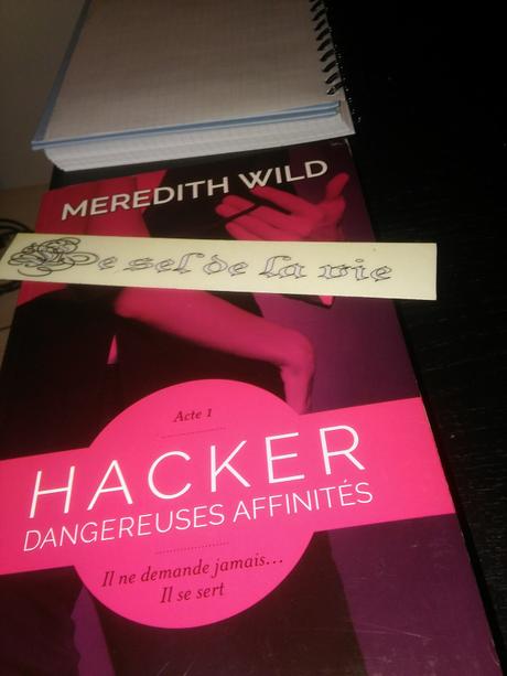 Dangereuses affinités (Hacker #1)