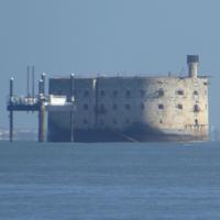 boyard1.jpg