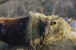La résilience de l’agriculture française