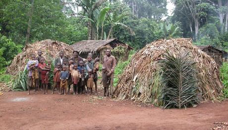 Groupe-Pygmees-lethnie-Baka-Cameroun_0_730_417
