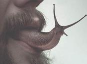 L'univers étrange d'Olivier Marinkoski