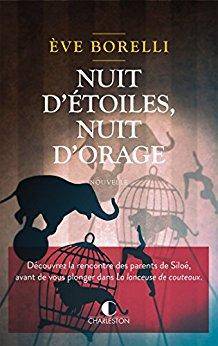 Mon avis sur Nuit d'étoiles , nuit d'orage d'Eve Borelli Mon avis sur Nuit d'étoiles , nuit d'orage d'Eve Borelli