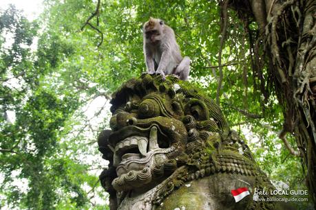 Bali-monkey-forest-ubud-4