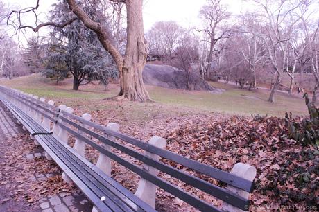 Travel-Diary-New-York-Central-Park-2-WithEmilieBlog-8017