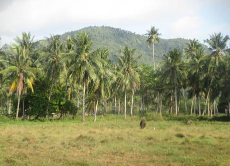 Quelques beaux spots de Thaïlande