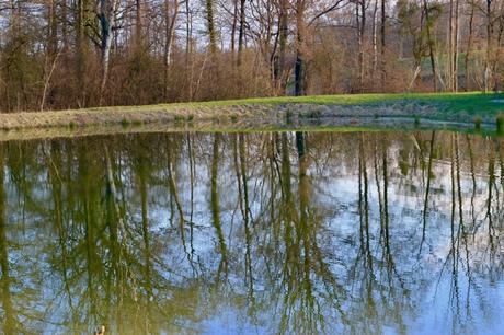 Détails du dimanche