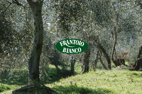 Atelier découverte autour du pesto et de l’huile d’olive chez Il Ristorante