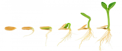 D'où vient la foi religieuse ?