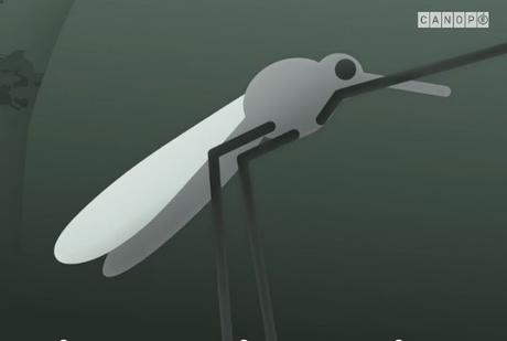 Le paludisme : l’histoire