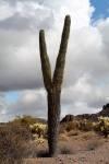 L’Apache Trail, sur la piste de l’Ouest sauvage