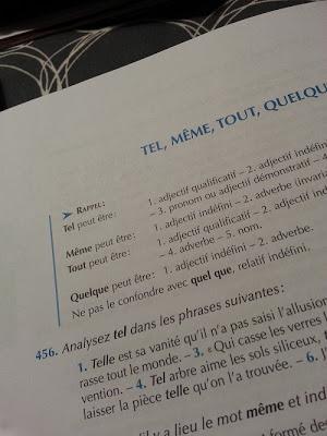 Analyse grammaticale: tel (que)