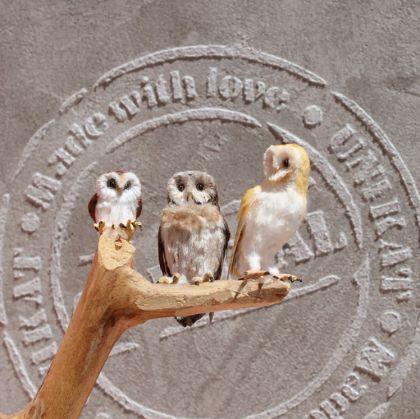 Animaux miniatures de Katie Doka Animaux miniatures de Katie Doka