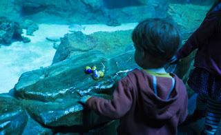 10 idées pour s'amuser à Pâques en famille à Paris 10 idées pour s'amuser à Pâques en famille à Paris