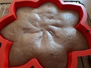 Fondant au Chocolat sans beurre de C. Felder: Le Bellevue Cliquer sur les photographies pour les agrandir