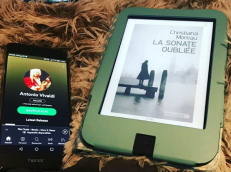 Capture d_écran 2018-01-03 à 15.58.47